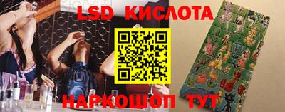 тгк Обь