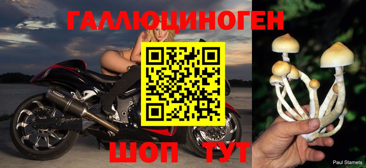 Галлюциногенные грибы MAGIC MUSHROOMS  Галлюциногенные грибы ЛСД  Татарск  Вход с VPN 