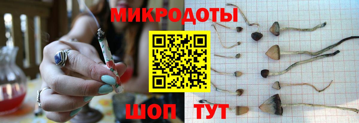 Псилоцибиновые грибы MAGIC MUSHROOMS Татарск